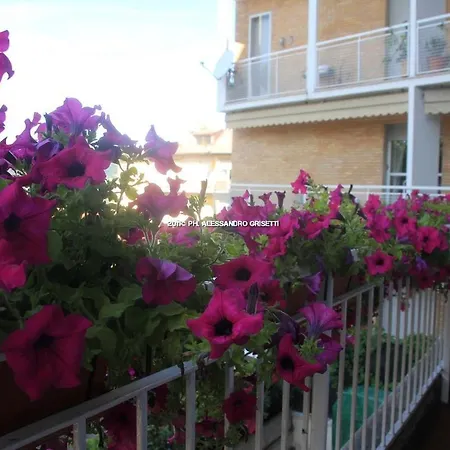 Paradisett Côme
